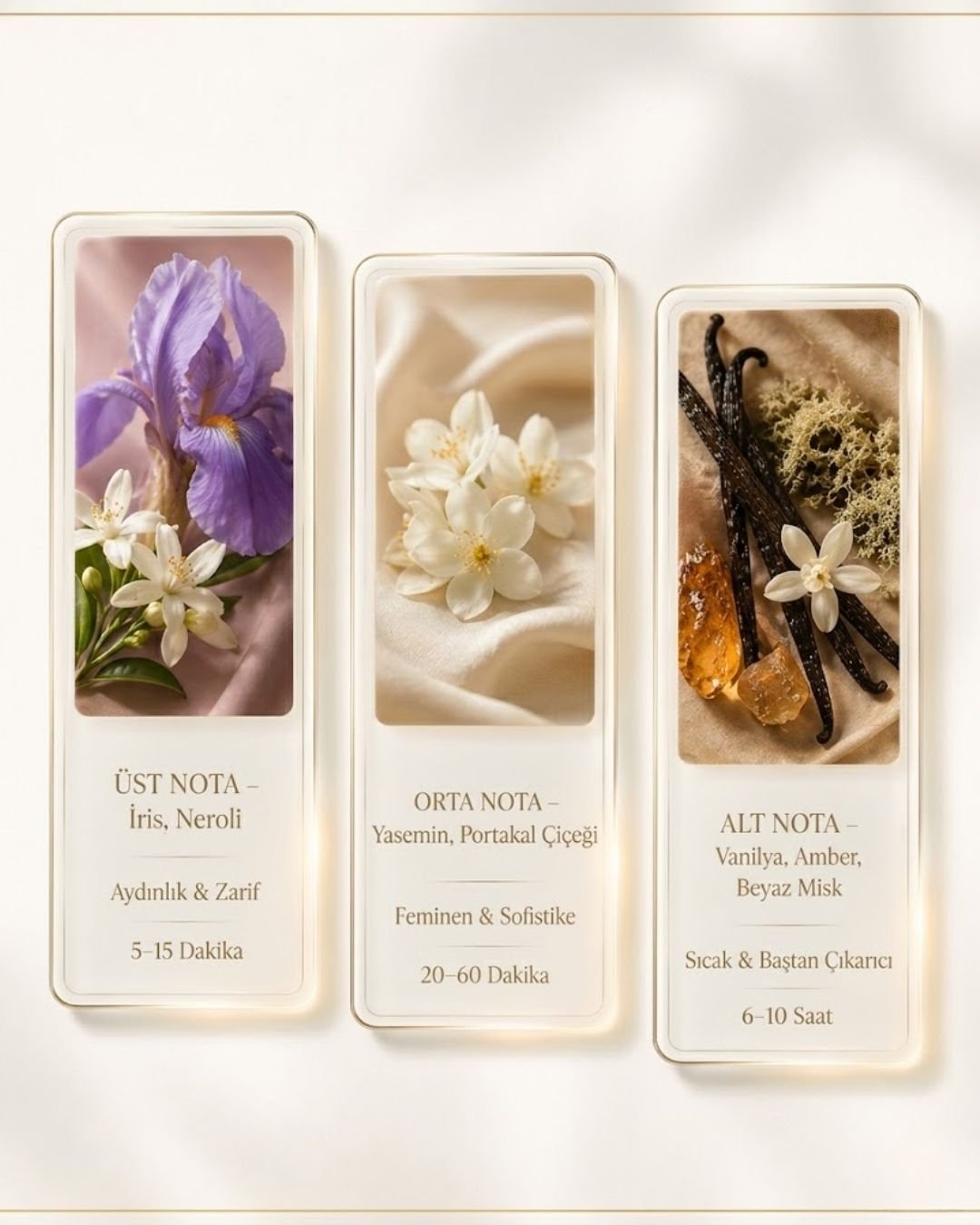 Iris (K-12) – Kadın Parfümü 50 ml EDP | Çiçeksi – Amber