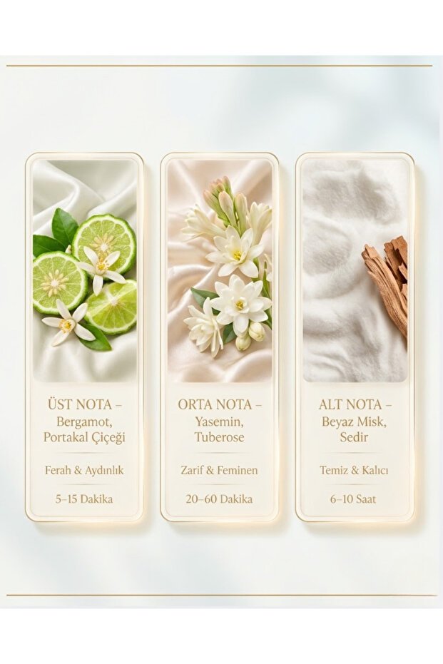 Aella (K14) Kadın Parfümü 50 ml | Kalıcı Çiçeksi – Meyvemsi – Amber Eau de Parfum