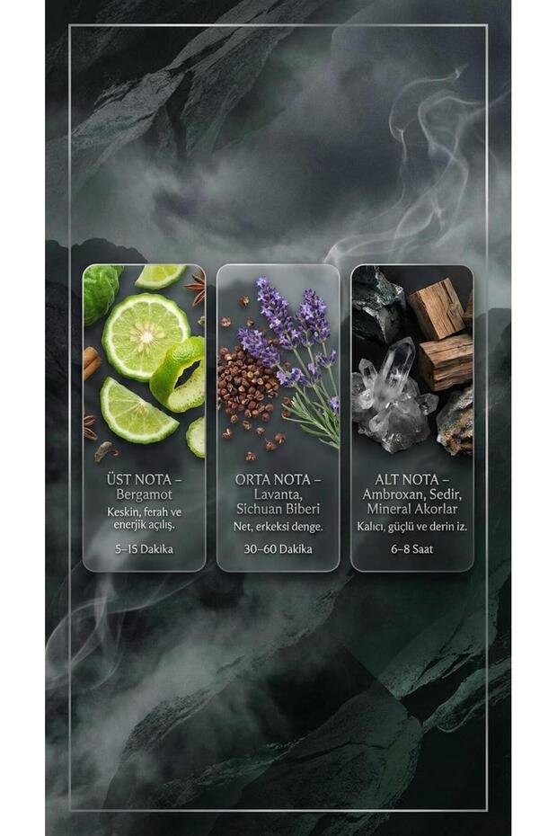 ARTEMIS (E11) – Erkek Parfümü 50 ml EDP