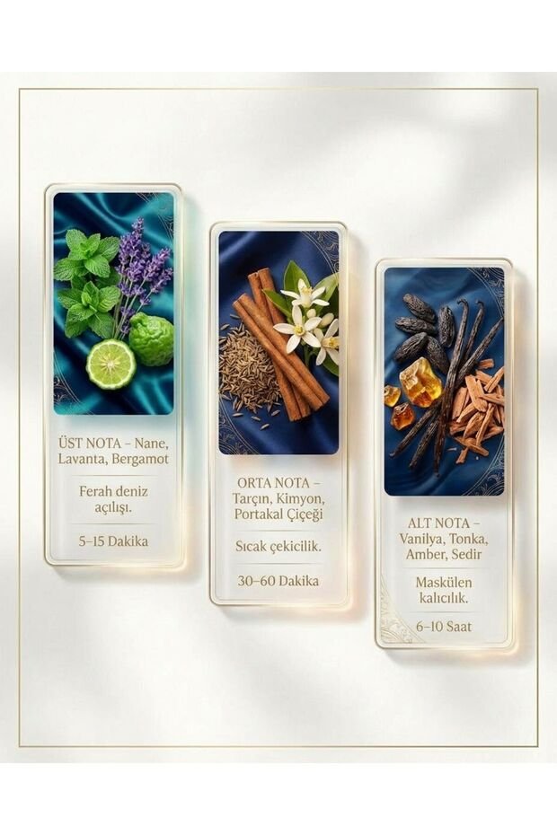 HERON (E8) – Erkek Parfümü 50 ml EDP