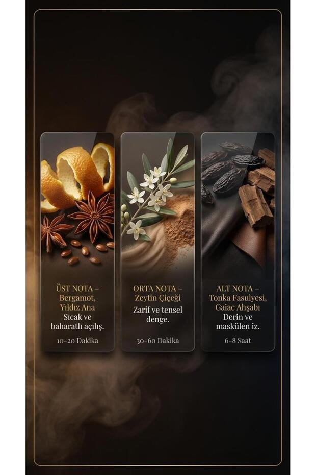 MORPHEUS (E-16) – Erkek Parfümü 50 ml EDP