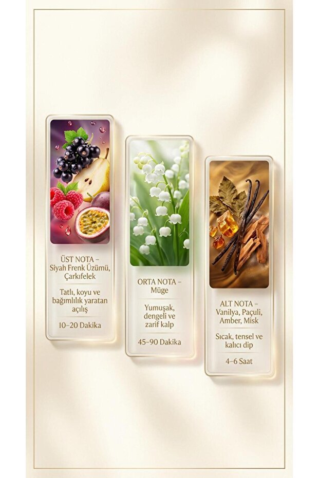 Kirke (U2) Unisex Kadın Erkek Parfümü 50ml EDP